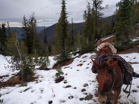 Pondering Winter Riding